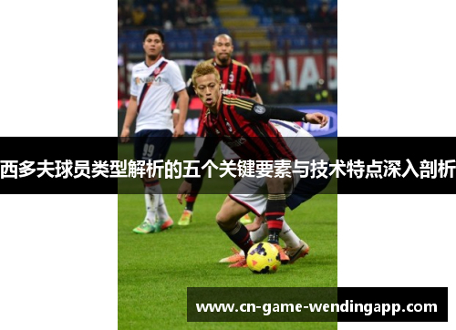西多夫球员类型解析的五个关键要素与技术特点深入剖析 西多夫球员类型解析的五个关键要素与技术特点深入剖析