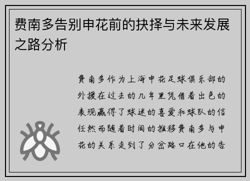 费南多告别申花前的抉择与未来发展之路分析