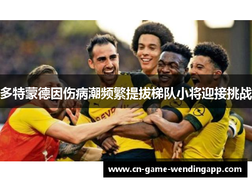 多特蒙德因伤病潮频繁提拔梯队小将迎接挑战 多特蒙德因伤病潮频繁提拔梯队小将迎接挑战